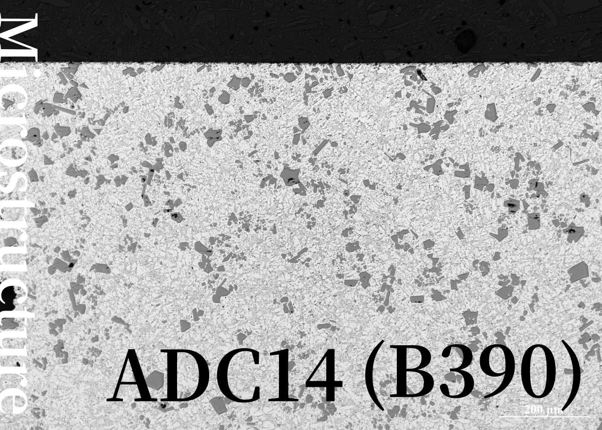 ADC14(B390)のミクロ組織