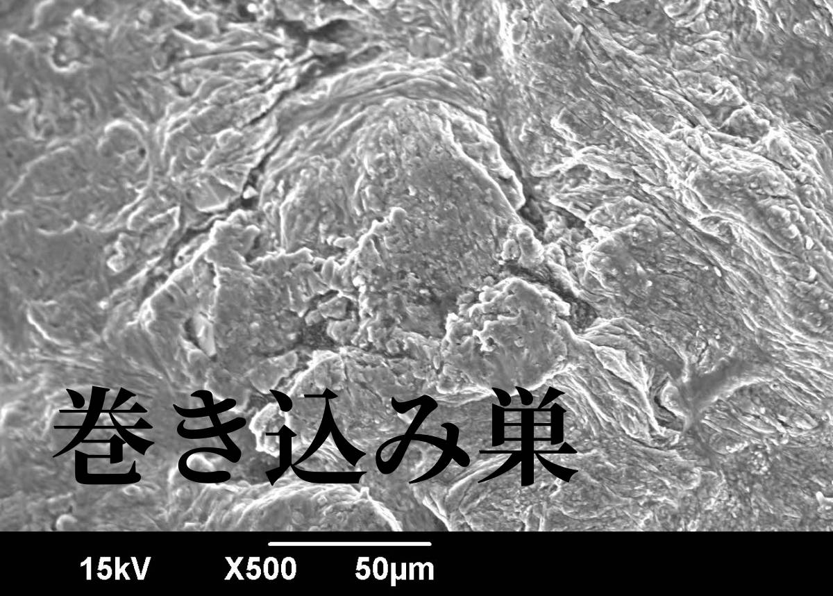 ダイカストに生成する巻き込み巣のSEM画像